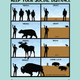 Social distance. Keep wildlife wild.